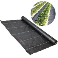 Agricultural 100% Virgin PP woven ground cover, weed control mulching film